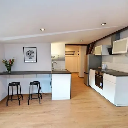 Fv/ Mariacka 7 - -katowice Apartman *