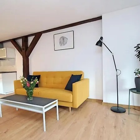 Apartman Fv/ Mariacka 7 - -katowice Katowice